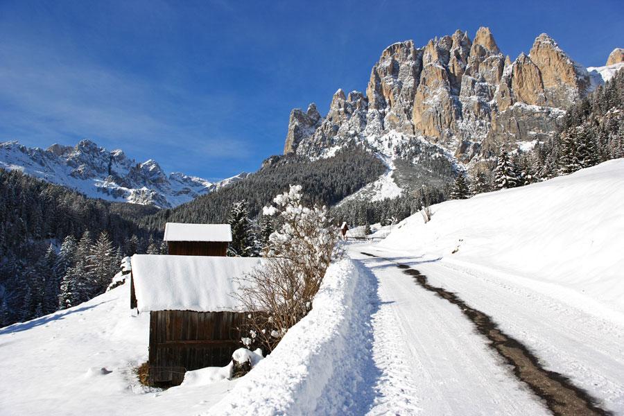 Appartamenti Dolomiti Moena Exterior photo